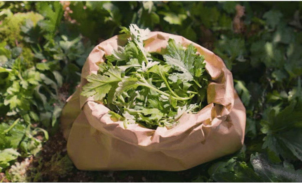 I'm From Mugwort Gel Cleanser 150ml