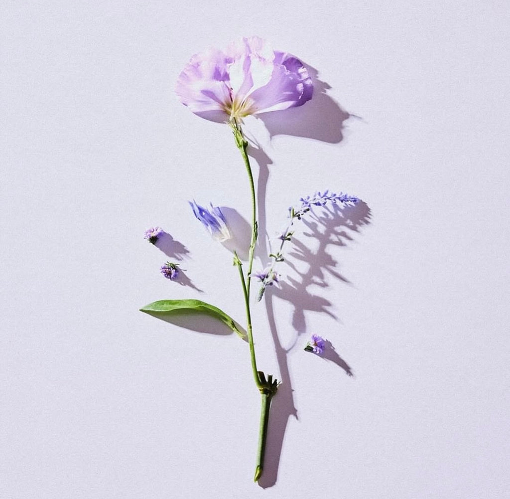 Gift! Kaine Lavender PDRN Revitalizing Toner 30ml